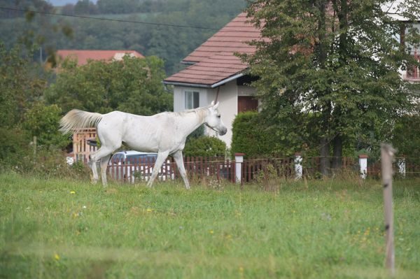 Автопробег «Путешествие в лето»!