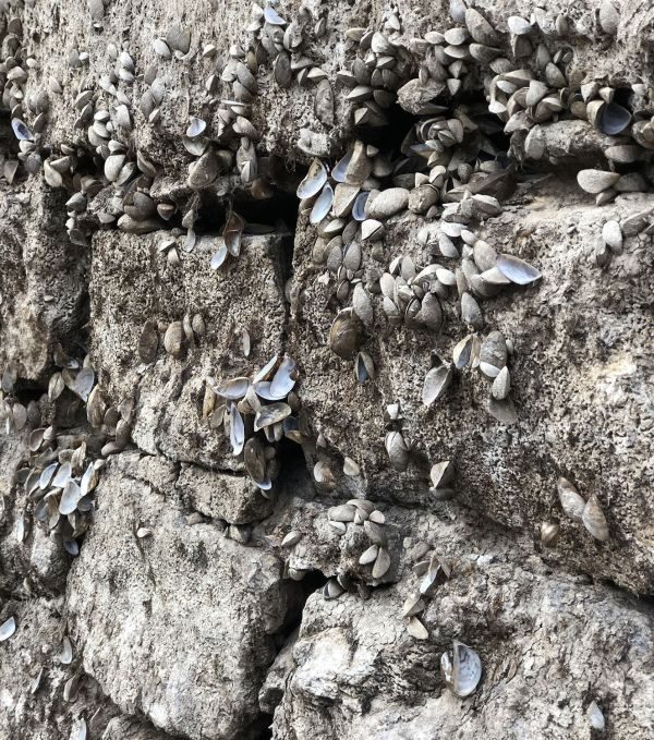 Автопробег Москва-Греция-Москва. Приключения начинаются!