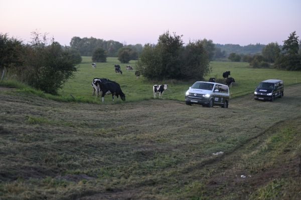 Автопробег «Путешествие в лето»!