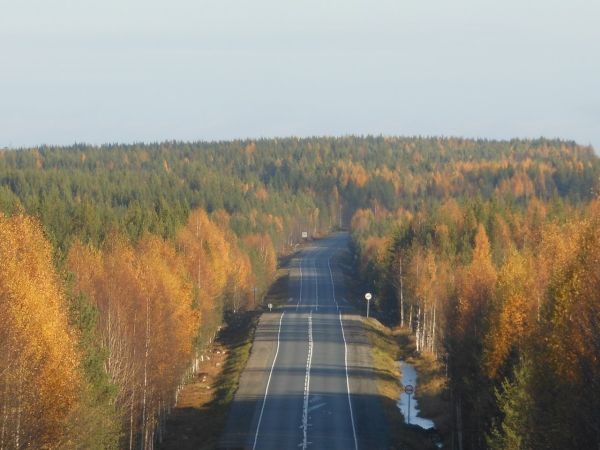 Профессионалы Дальних Дорог